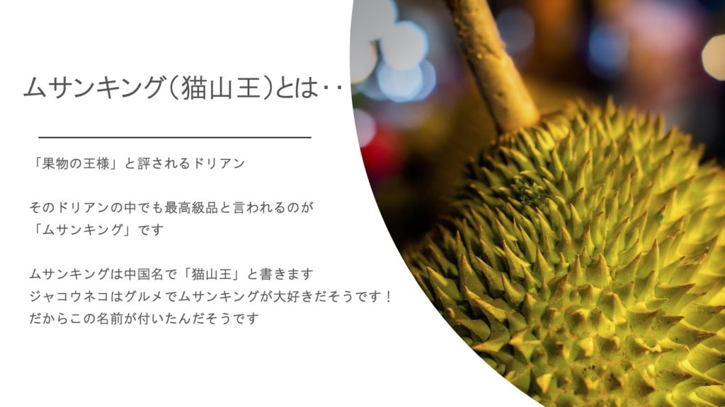 ドリアン アジアバンクホールディングス株式会社